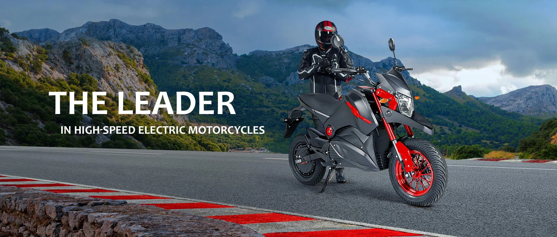 Electric Motorcycle
