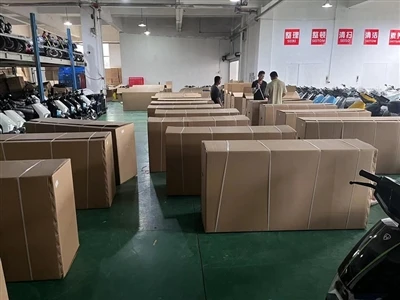 XL-EM19 Xe tay ga điện dành cho người lớn Đóng gói và gửi đến Kazakhstan